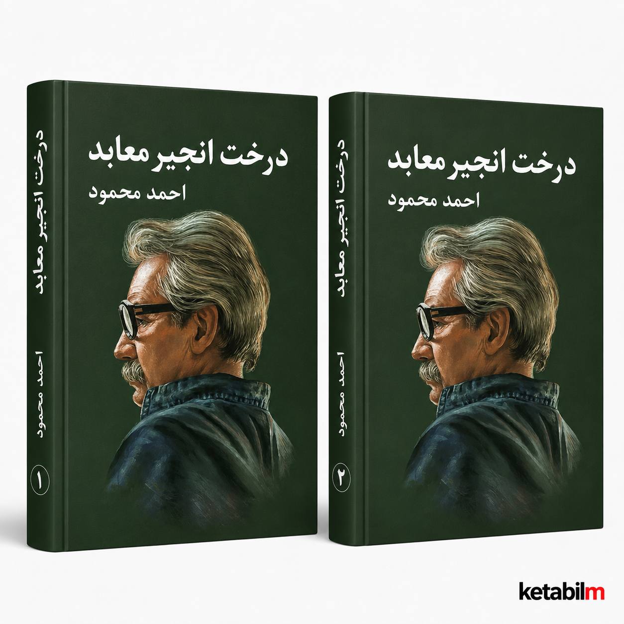 درخت انجیر معابد از احمد محمود