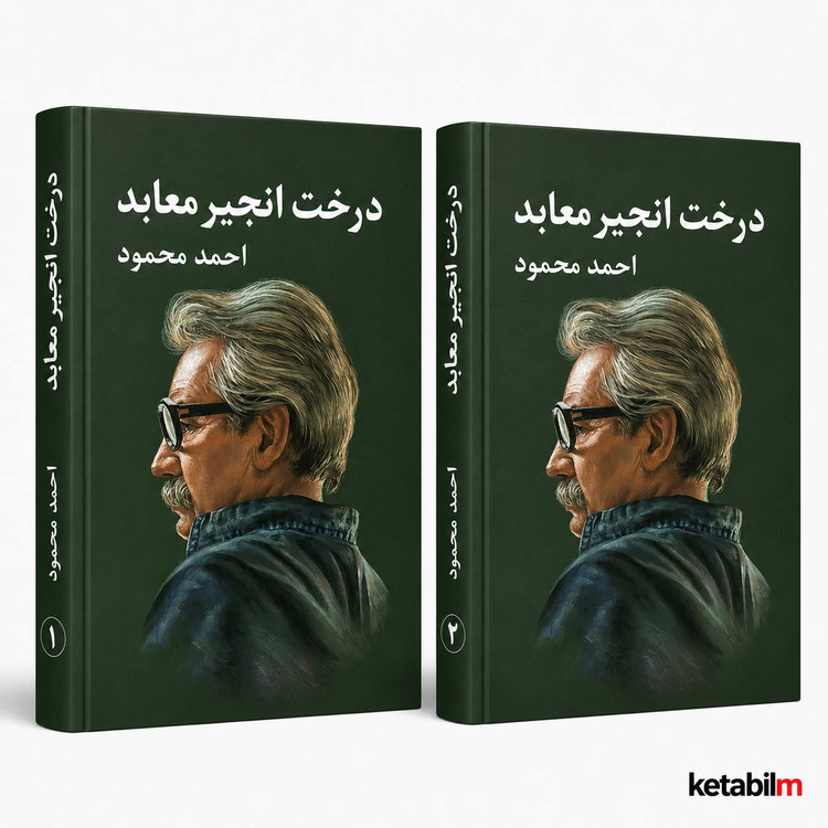درخت انجیر معابد از احمد محمود